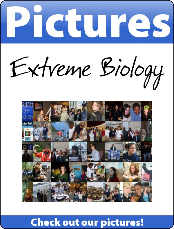 Winner Edublog Award 2008 Best Class Blog