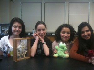 Update on the Extreme Biology Scitable Bloggers!