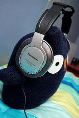 Weekend Update – Kingdom Animalia